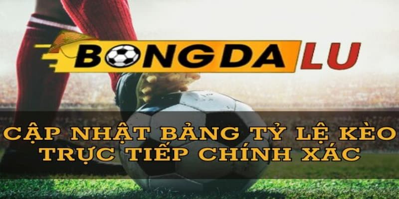 Các tính năng tiêu biểu trong Giới Thiệu Bongdalu