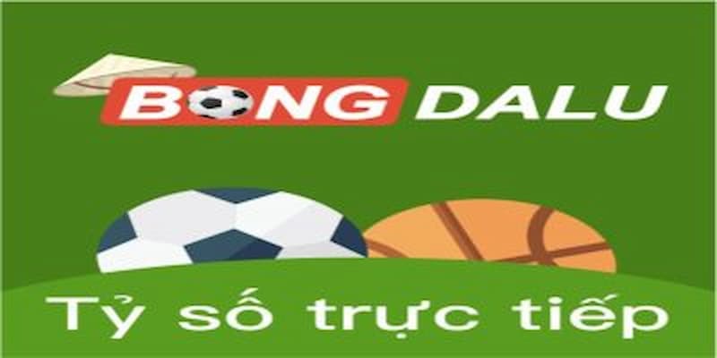Giới Thiệu Bongdalu với các cách tham gia hiệu quả
