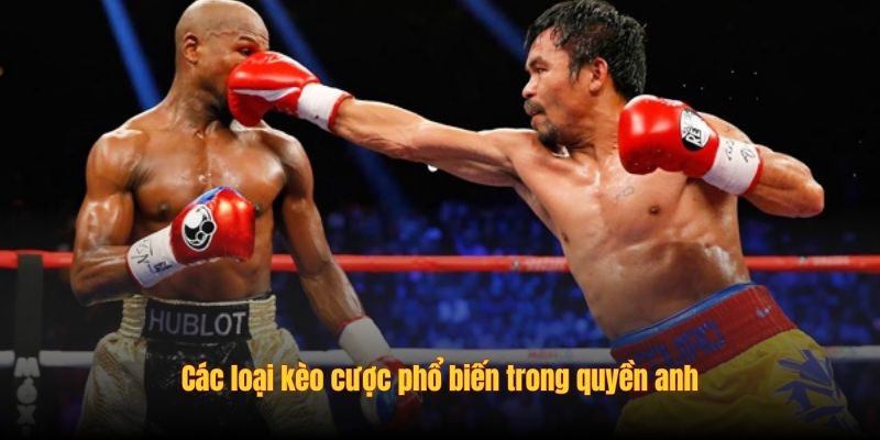 Các loại kèo cược phổ biến trong quyền anh
