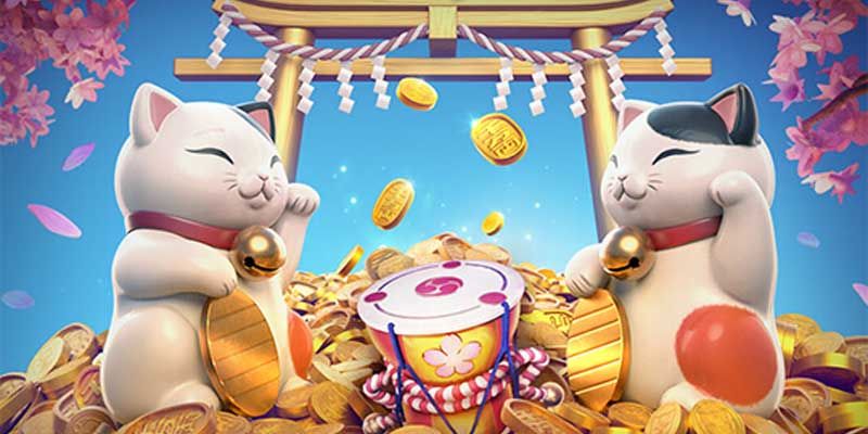 Các chiến thuật chơi mèo chiêu tài hiệu quả