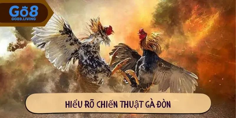 Cách chơi đá gà dễ thắng Go8 – Tăng tỷ lệ thắng lên đến 90%
