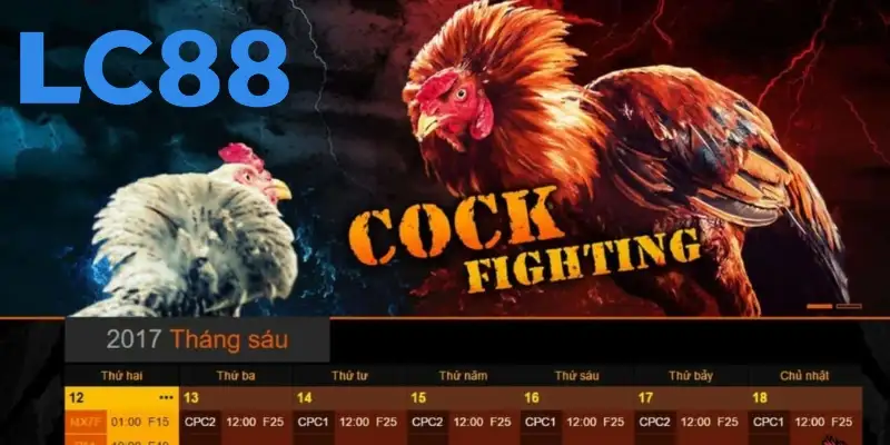 Đá gà LC88 – Trải nghiệm kịch tính cho người chơi đam mê