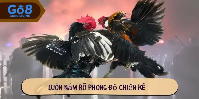 Lựa chọn thời điểm đặt cược trong đá gà Go8 như thế nào?