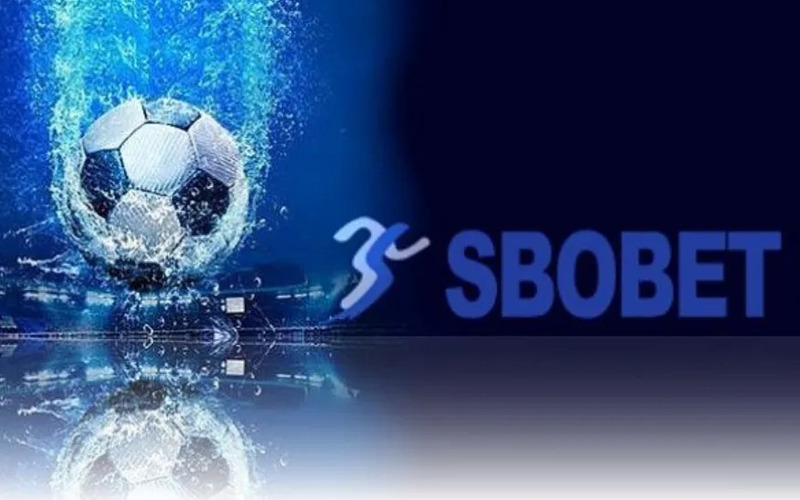 Lợi ích khi tải sbobet chính thống