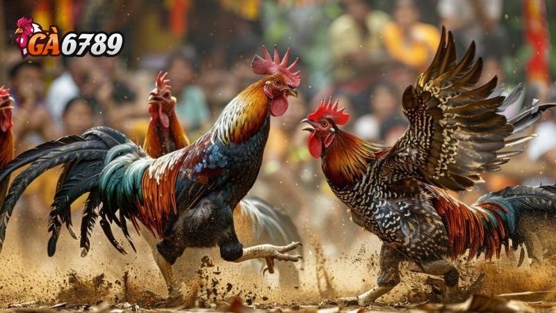 GA6789 – chuẩn mực mới của thế giới cá cược trực tuyến