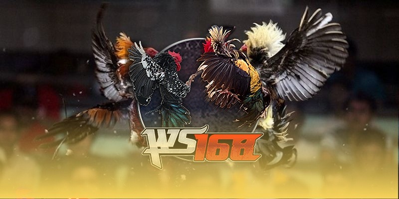 Slots & game quay hũ – thế giới rực rỡ của vận may