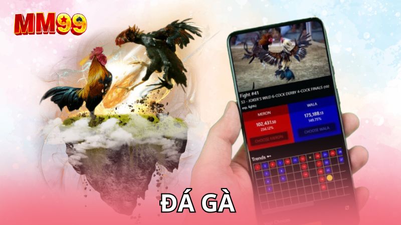 Đá gà MM99 – Sảnh cược tốc độ cao dành cho người không thích chờ đợi