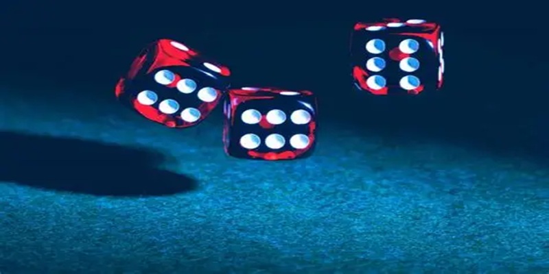 Hoàn tất khâu xác minh