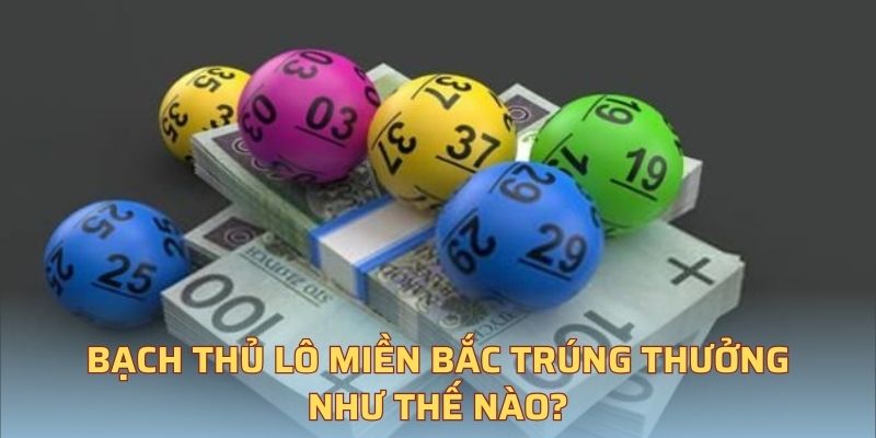 Bạch thủ lô miền Bắc trúng thưởng như thế nào?