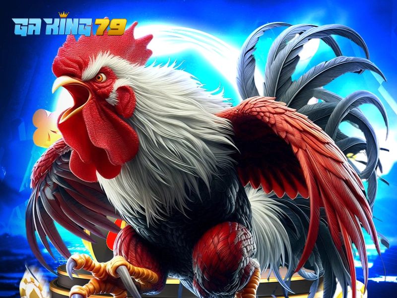 Xem và cá cược đá gà kết hợp cùng GAKING79