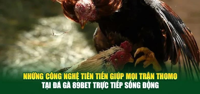 Những công nghệ tiên tiến giúp mọi trận Thomo tại đá gà 89bet trực tiếp sống động