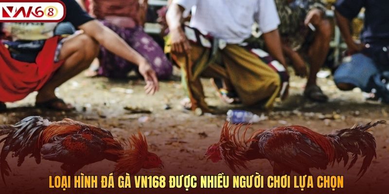 Các loại hình đá gà VN168 phổ biến